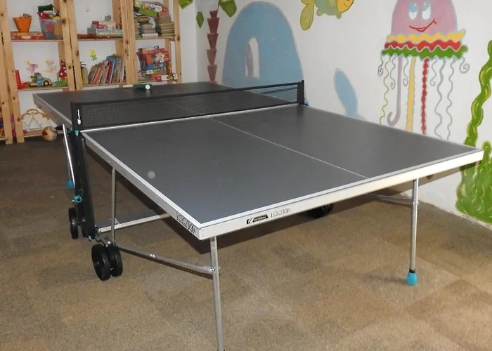 Ubytování v soukromí U Reginy *